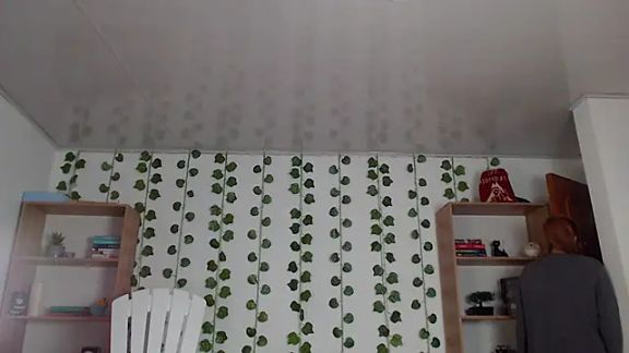 Soy_mangx