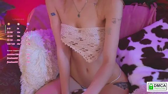 soft_animal_