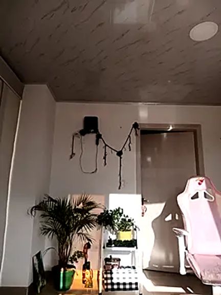 Akame_yumi