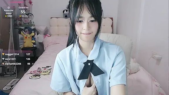 stupidcat5227