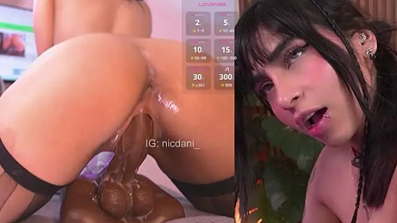 nicdani_1