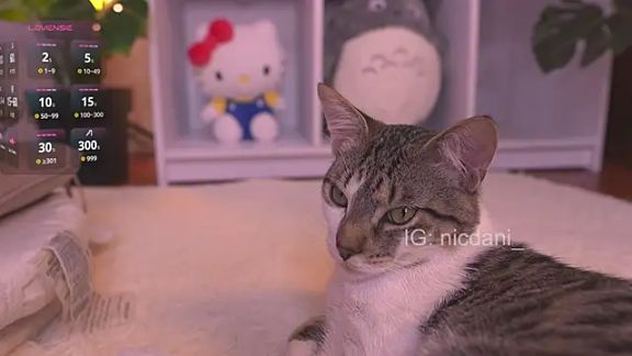 nicdani_1