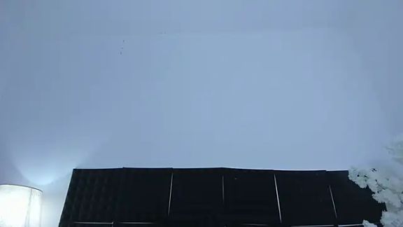 guadalupe21_