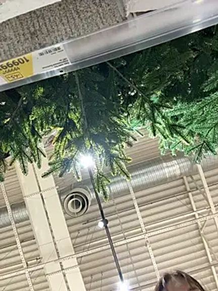 BallerinaCappuccino_