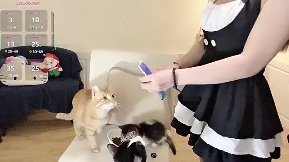 Xiao--Lin