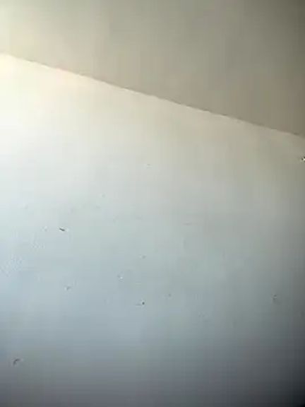 cuteluci_