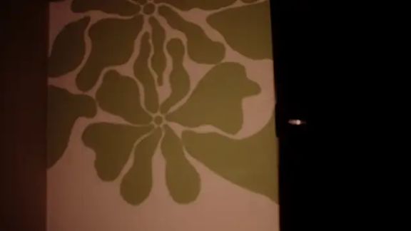 nancydiamond1