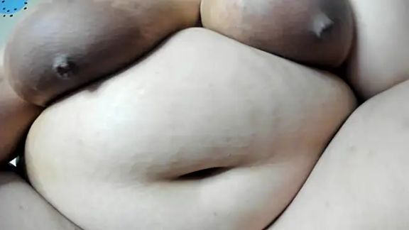Alondra_zaaens