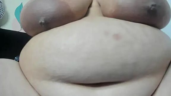 Alondra_zaaens
