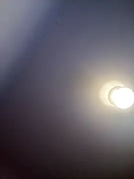 sexyBrunettex1