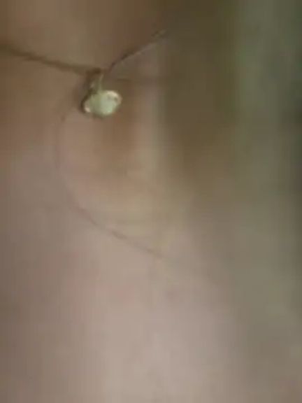 CelesteBlaze_