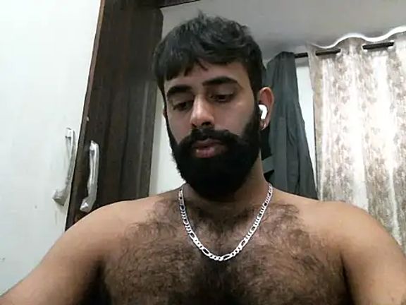 indianhairybull
