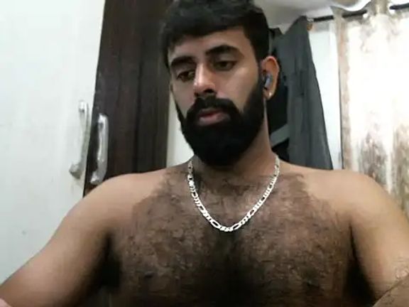 indianhairybull