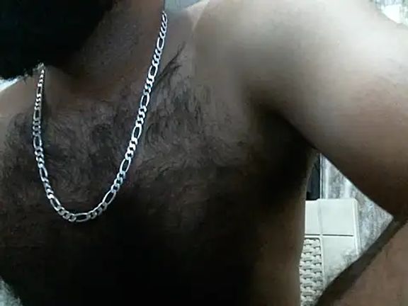 indianhairybull