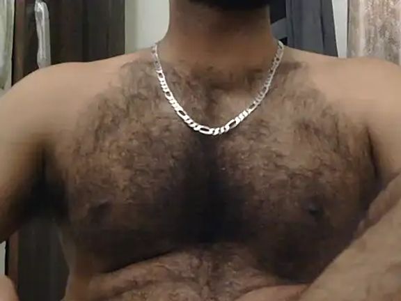 indianhairybull