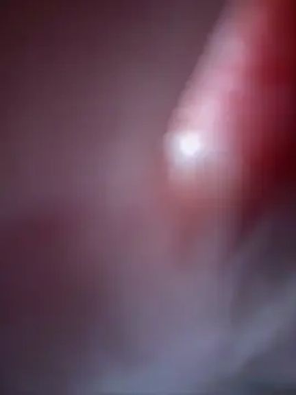 _JessyRey_
