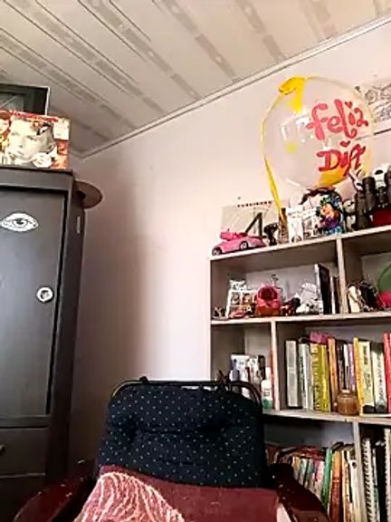 Salo_333_