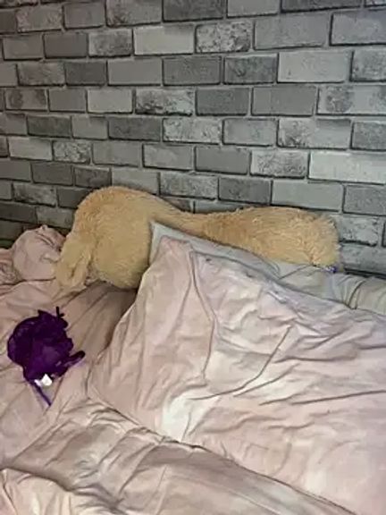 Poppy_frankie