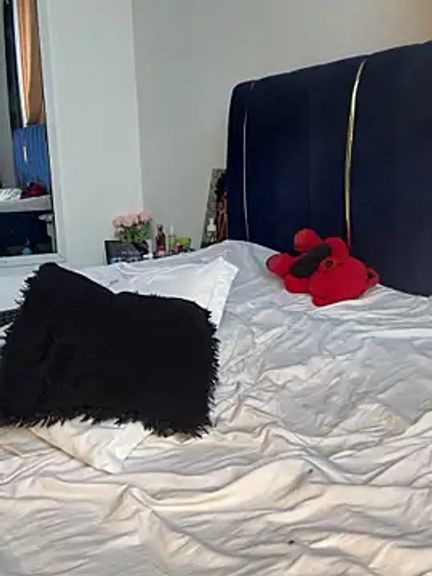 t-Booty_risky_