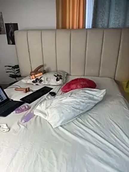 t-Booty_risky_