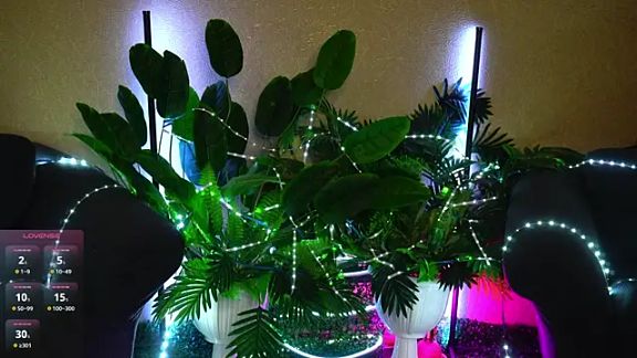 Viola_Becker