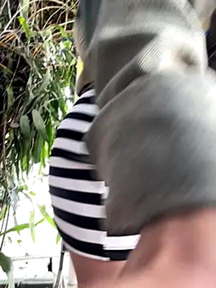 Clara8899
