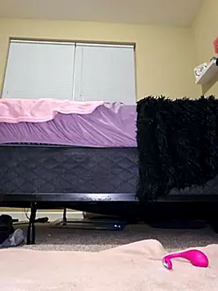AmethystFoxx