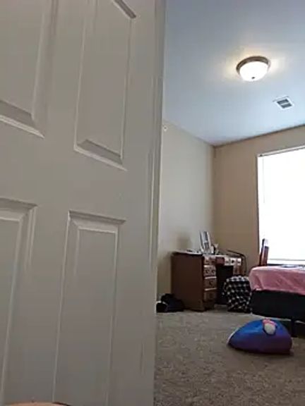 AmethystFoxx