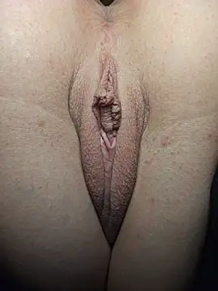 AmethystFoxx