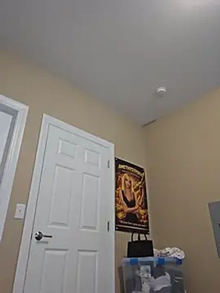 AmethystFoxx