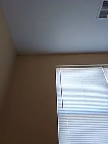 AmethystFoxx