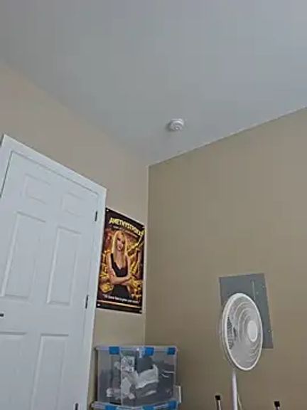 AmethystFoxx