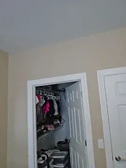 AmethystFoxx