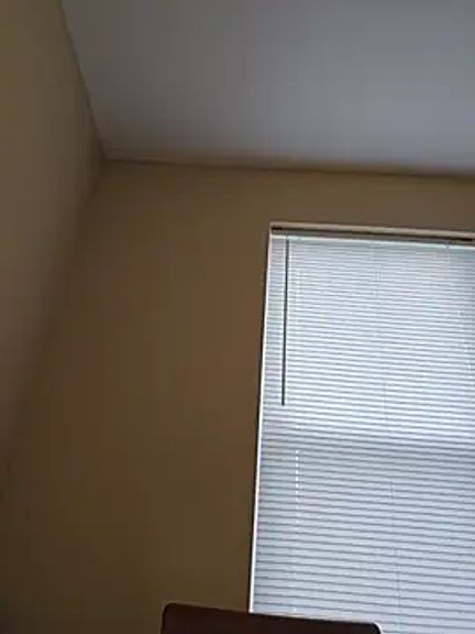 AmethystFoxx