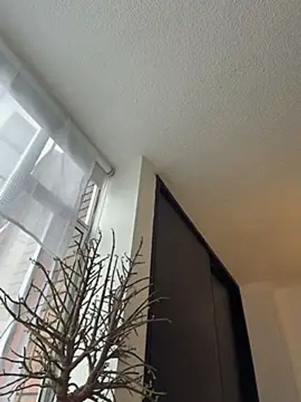 AmelieLaurent_