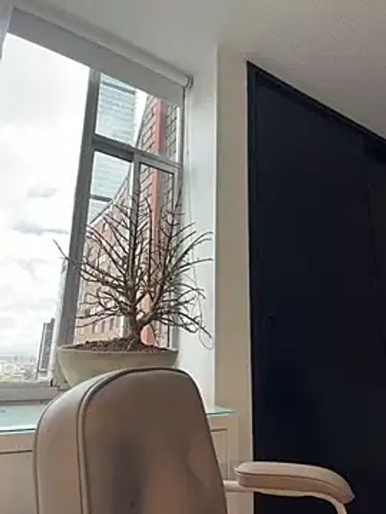 AmelieLaurent_