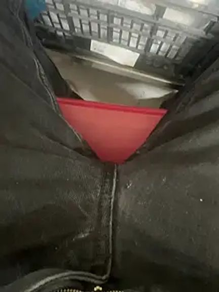 portugadopau