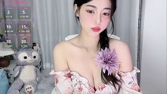 Nova_Cici