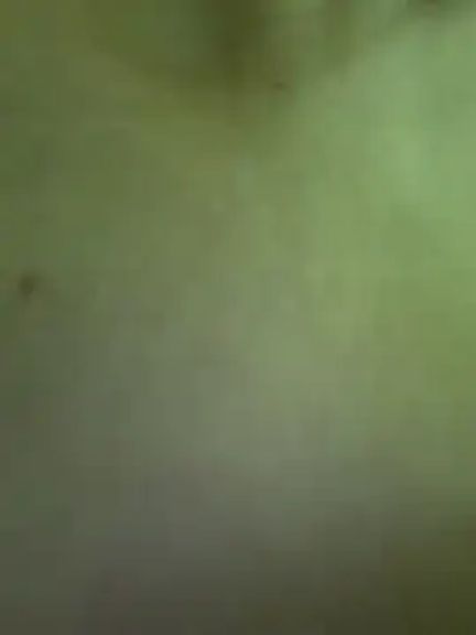alana15