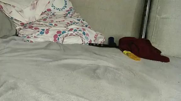 Raycatt1
