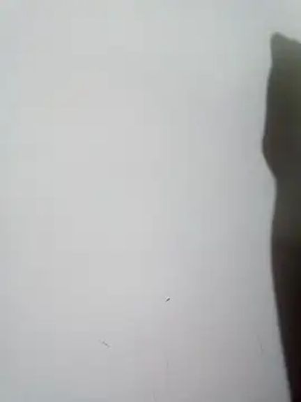 yassmine34