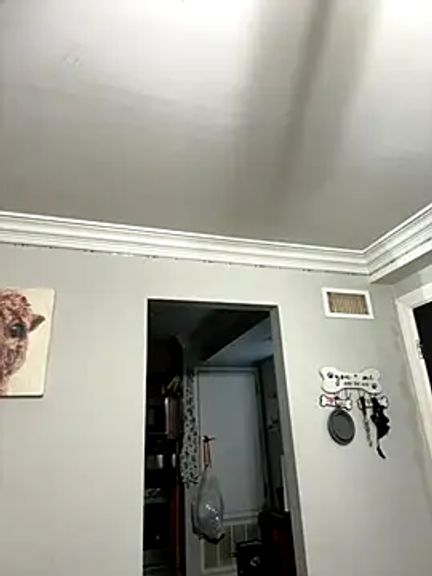 ThicBunz