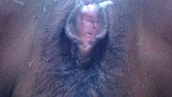 SHARICK_GRECO