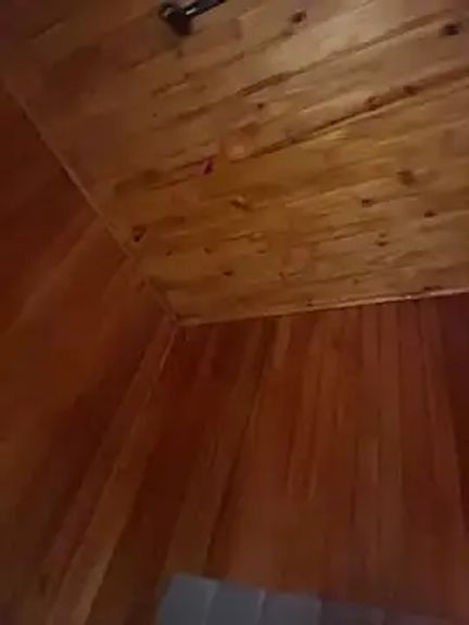 AliceStone19