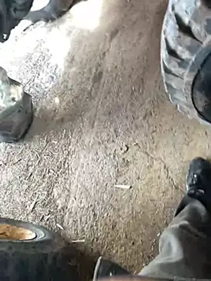 Chico031289