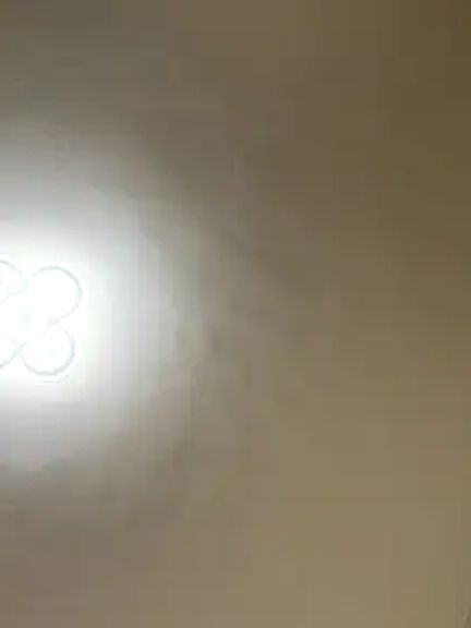 VyC7564