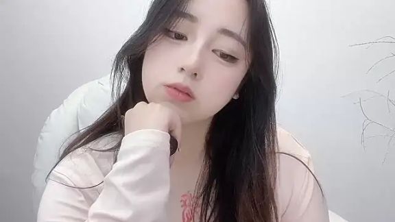 329hanzai