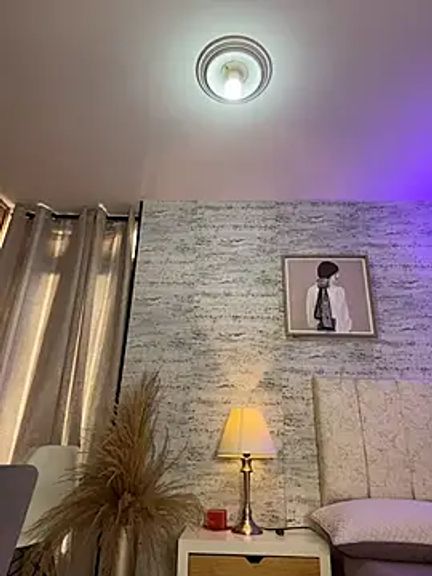 HoneyMollyX