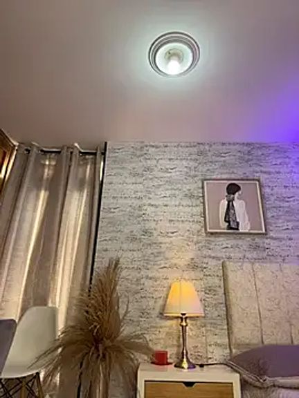 HoneyMollyX