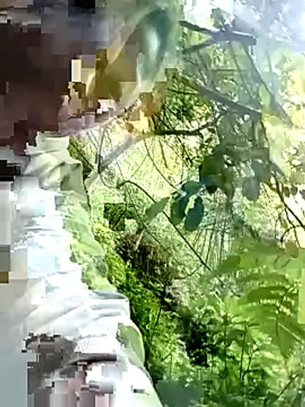 Suka_xx